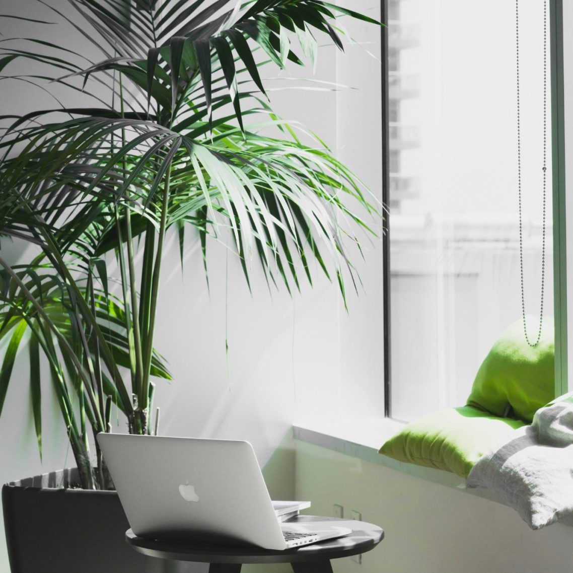Heller, moderner Raum mit Laptop auf einem Tisch und einer Pflanze – einladende Atmosphäre für produktives Arbeiten und digitale Prozesse